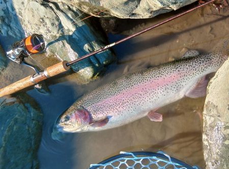 天竜川ルアーフライ専用区